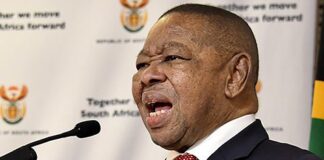Nzimande pushes for STI promotion