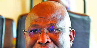 Mabuyane stock theft