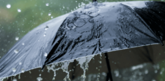More rain forecast for December and new year