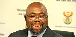 Thulas Nxesi job-creation