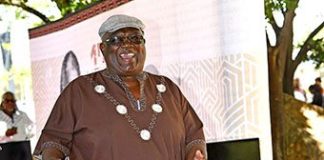 Indigenous languages indaba