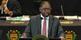 Godongwana’s growth projection a pie in sky – economists