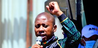 I’d rather go milk my father’s cows if ANC gets in bed with DA –Lungisa