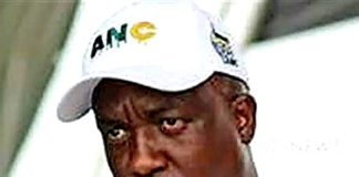 ANC heavyweight Mandla Msibi feels the wrath of the party