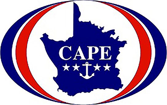 Moegoe: Cape Independence Party In its first public relations nightmare, the Cape Independence Party passed the test with a heavy dose of mediocrity.  
