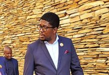 IFP leader Mkhuleko Hlengwa