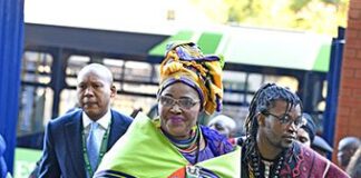 Charge Mapisa-Nqakula, says ANC chief whip Majodina