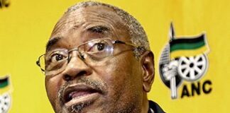 Willies Mchunu plots downfall of ANC