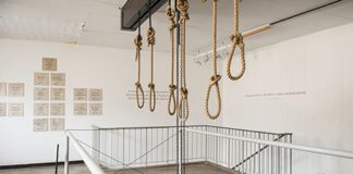 ‘Azapo will not oppose death penalty referendum’