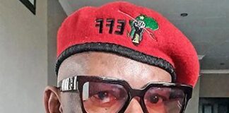 Organisation praises Mthethwa for fighting for artists' rights