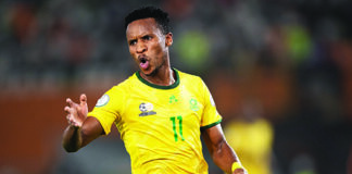 Stop foolish comparisons, Mshishi, Mdokis are great