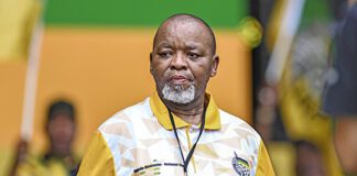 DA, ANC slammed for accusing MK of tribalism after vote shock