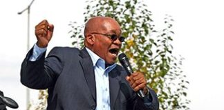 Jacob Zuma-led party strong in Mpumalanga