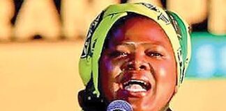 No ANC decision to go into a coalition with the DA, says NEC member Mhlauli