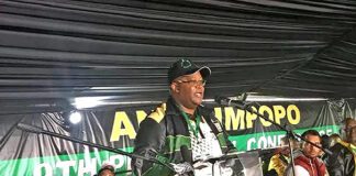 Danny Msiza can campaign for ANC, Mantashe says 