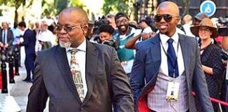 Leave my family alone – angry Mantashe on state contract lies