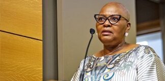 Meet the NPA’s star witnesses lined up against Mapisa-Nqakula