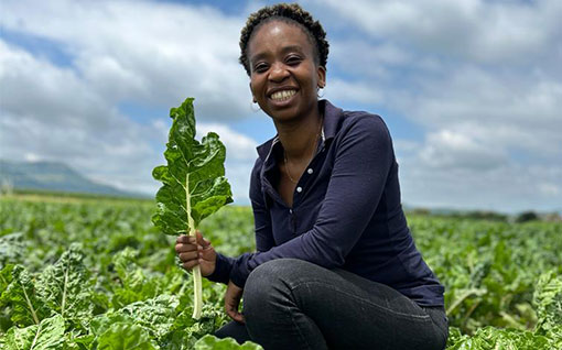 Palesa Motaung