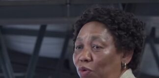 Angie Motshekga mother tongue learning