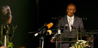 EFF takes on Parks Tau over awarding of lucrative lottery licence