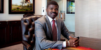 Politicians should stay clear of banking – Letjane 