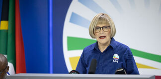 Helen Zille coalition talk