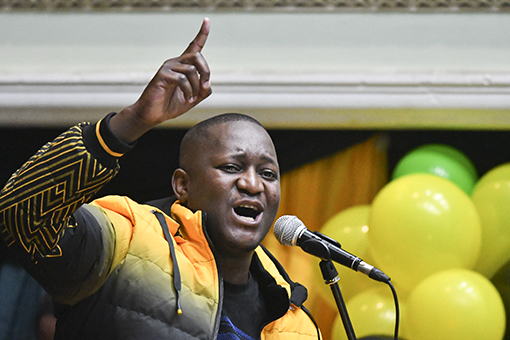 KZN ANC leadership