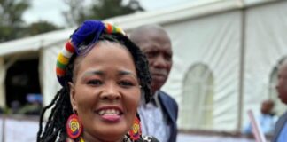 MEC Mbali Shinga to keep her job after the KZN Speaker Nontebeko Boyce told the NFP's acting secretary Bheki Xaba to go fly a kite when he demanded that the party's KZN Chairperson be axed