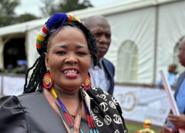 MEC Mbali Shinga to keep her job after the KZN Speaker Nontebeko Boyce told the NFP's acting secretary Bheki Xaba to go fly a kite when he demanded that the party's KZN Chairperson be axed