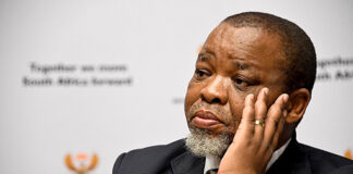 Mantashe is SA's acting president