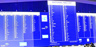 Coalitions options facing SA now 