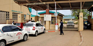 A troop of looting monkeys and a cluster of stray cats are terro rising patients, staff and visi­tors at the Letaba Hospital inNkowankowa
