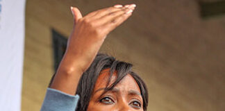 Why Mbali Hlophe was left out of GP cabinet