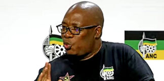 Lesufi 100 days in office