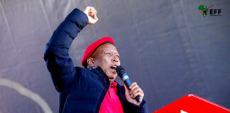 Julius Malema