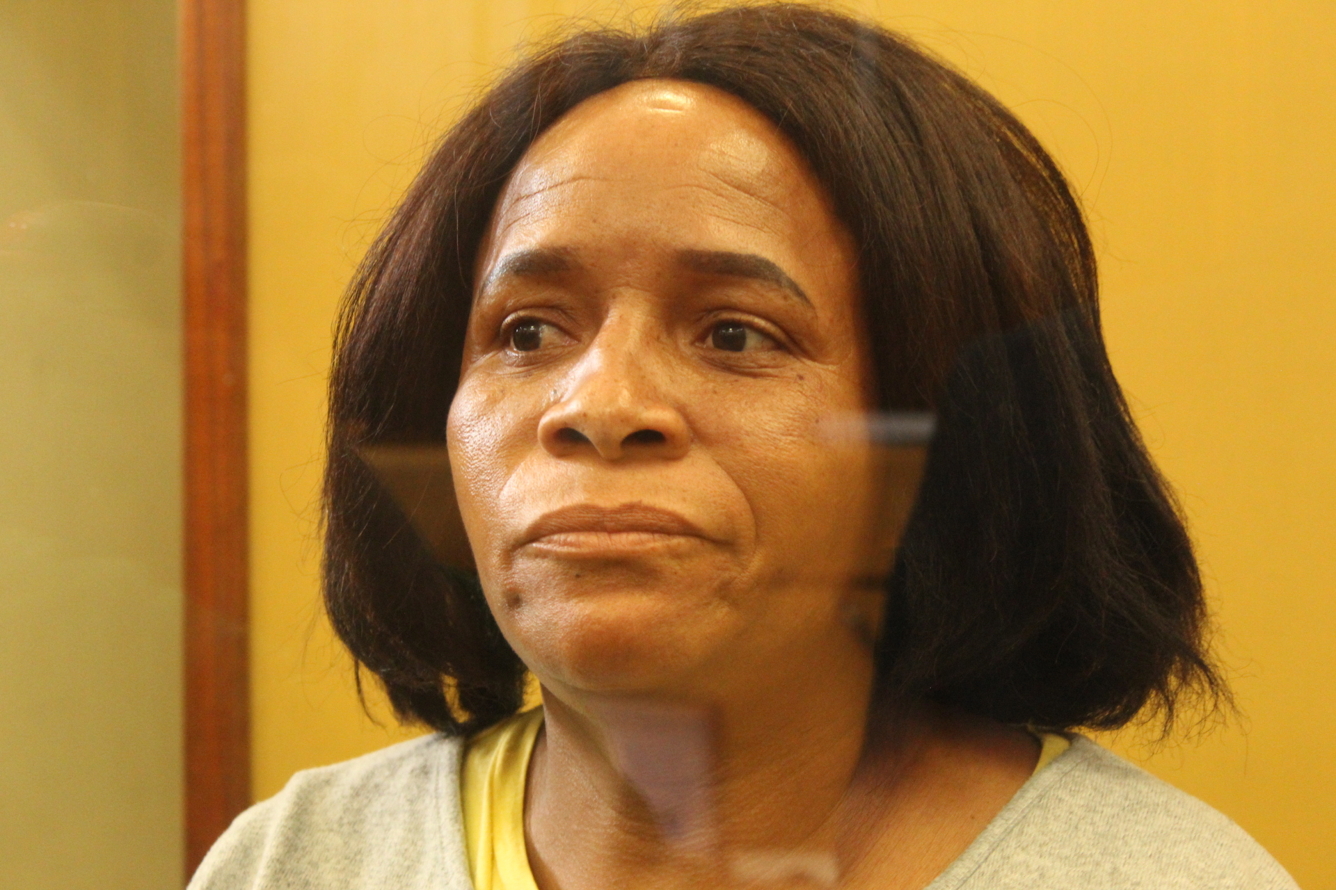 Insurance policy 'muderer' Agnes Setshwantsho back in court