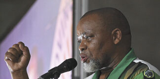 Mantashe: I will retire from ANC leadership in 2027