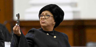 Free State premier