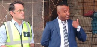 Axed KwaZulu-Natal public works head's PA suspended