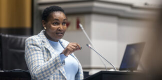 Thembi Simelane loan