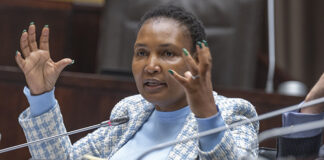 Thembi Simelane escapes scot-free
