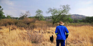 Pace of land reform still a concern but there is progress 