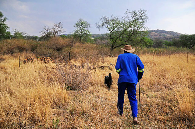 Pace of land reform still a concern but there is progress 