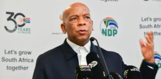 Ramokgopa's plan sounds unrealistic