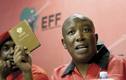 Top EFF leader backs Malema for third term
