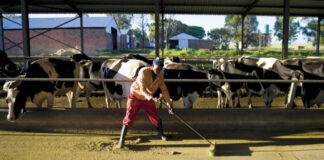 SA's food price inflation