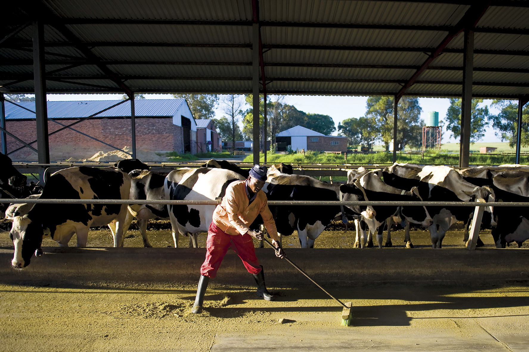 Livestock Wealth