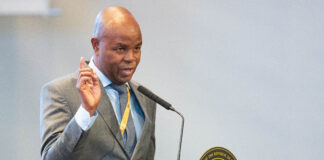 Mpumalanga premier Mandla Ndlovu
