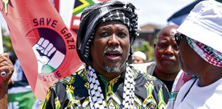 ANC’s Bheki Mtolo’s chaotic stunts brought him to a fall