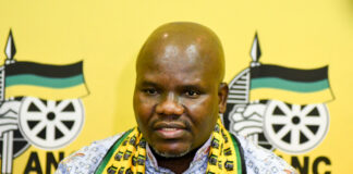 ANC to push for land expropriation despite its role in GNU 